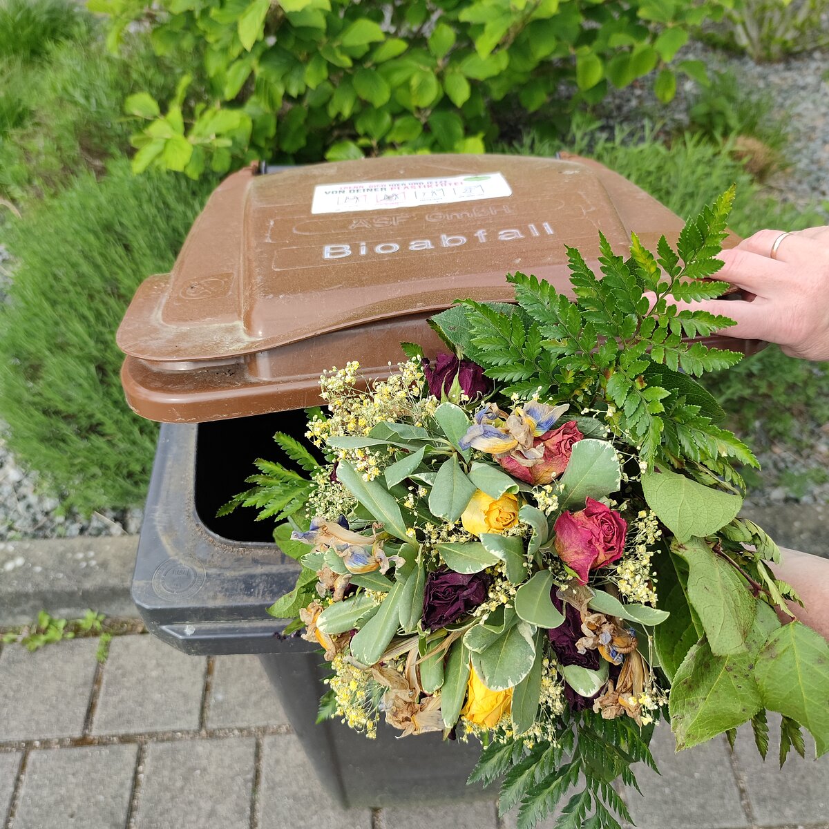 Abfallwirtschaft Schleswig Flensburg Schnittblumen Richtig Entsorgen