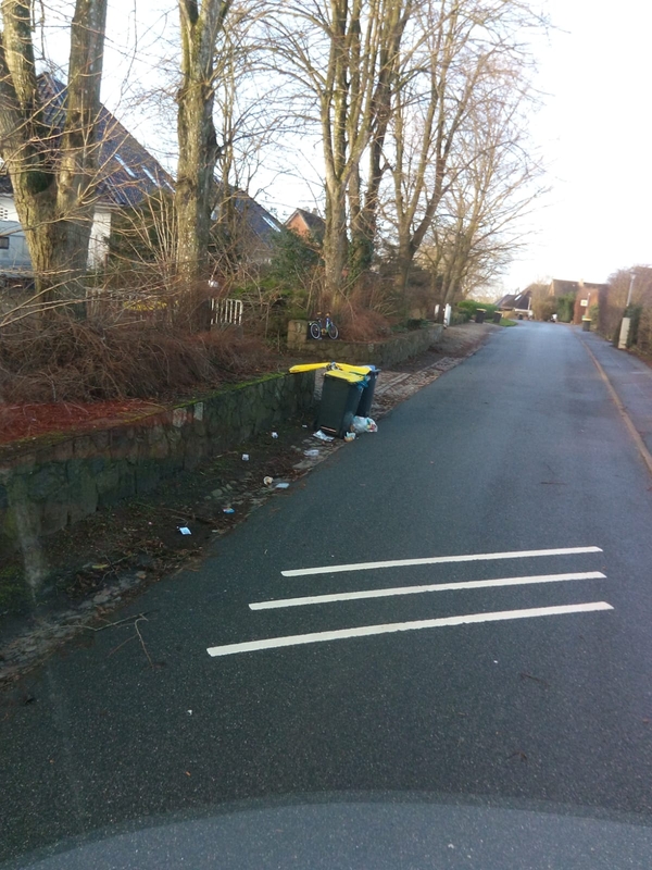 Verpackungen liegen neben den Gelben Tonnen